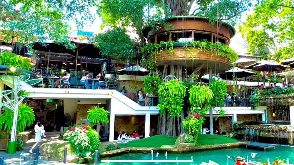 coffee garden in ho chi minh